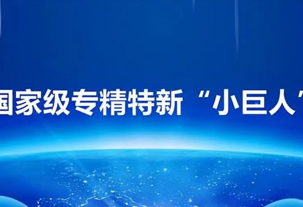 我司榮獲“專精特新小巨人”榮譽稱號，彰顯創(chuàng)新實力與卓越品質(zhì)