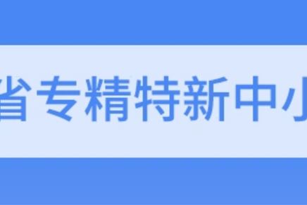 我司通過2021年度省級(jí)專精特新中小企業(yè)復(fù)核